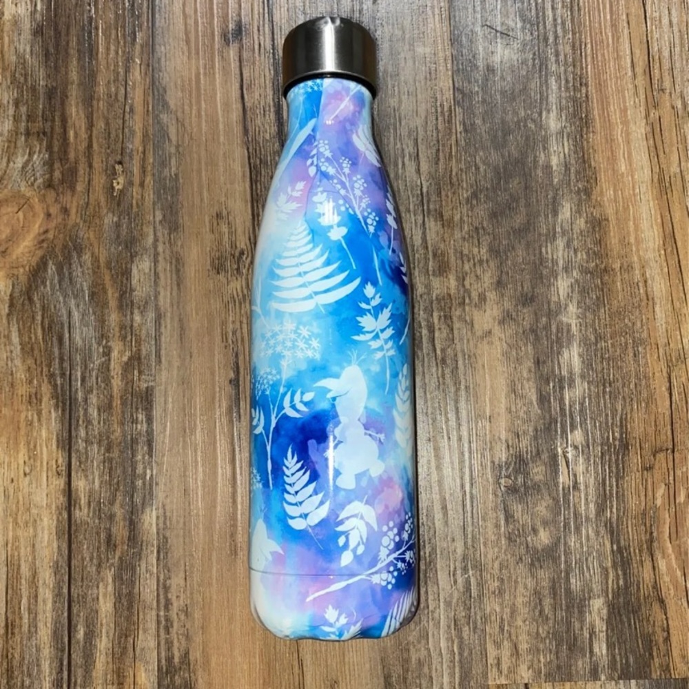 S'WELL 17 oz Disney Frozen Water Bottle